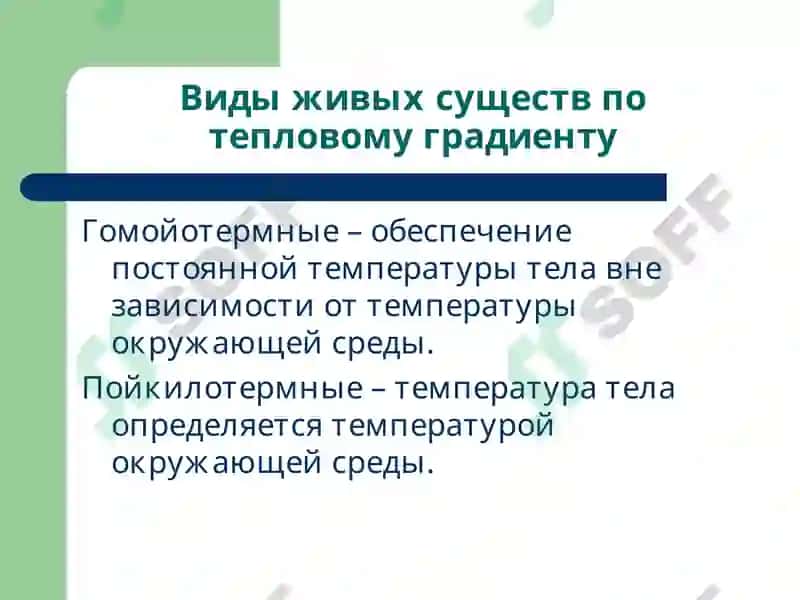 Лекция 4 Патофизиология 3