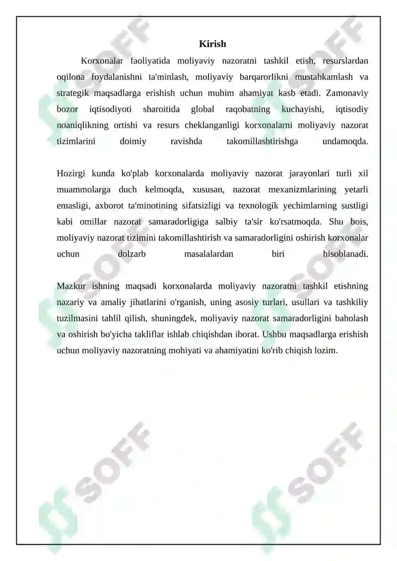Moliyaviy nazoratning asosiy tushunchalari va turlari 3