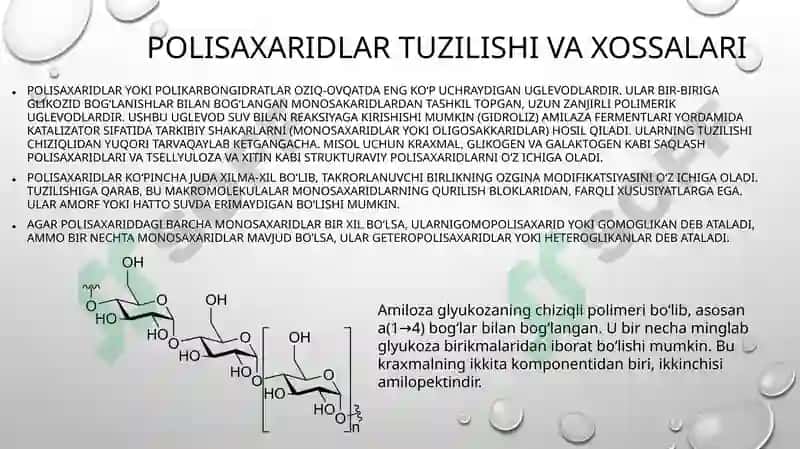 Polisaxaridlar 3