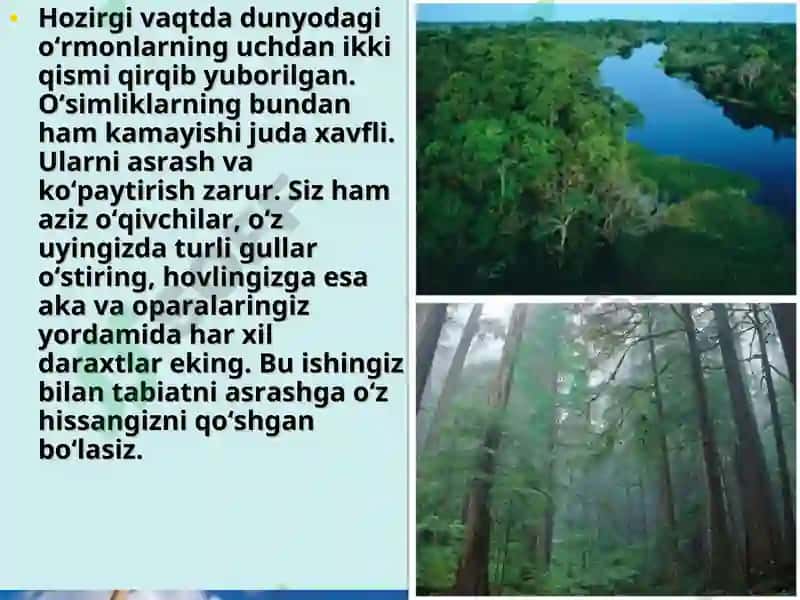 Organizmlarning yer qobiqlariga ta'siri 3