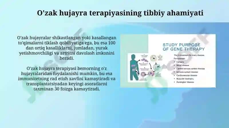O'zak hujayra terapiyasi 3