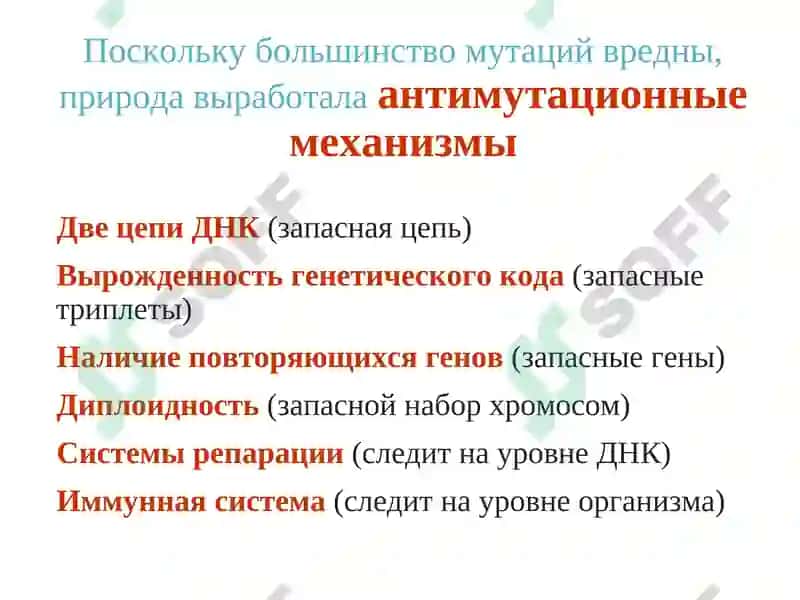 Клеточная биология. Мутации. 3