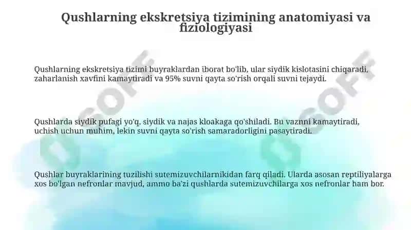 Parandalarda siydik ajralishi 3