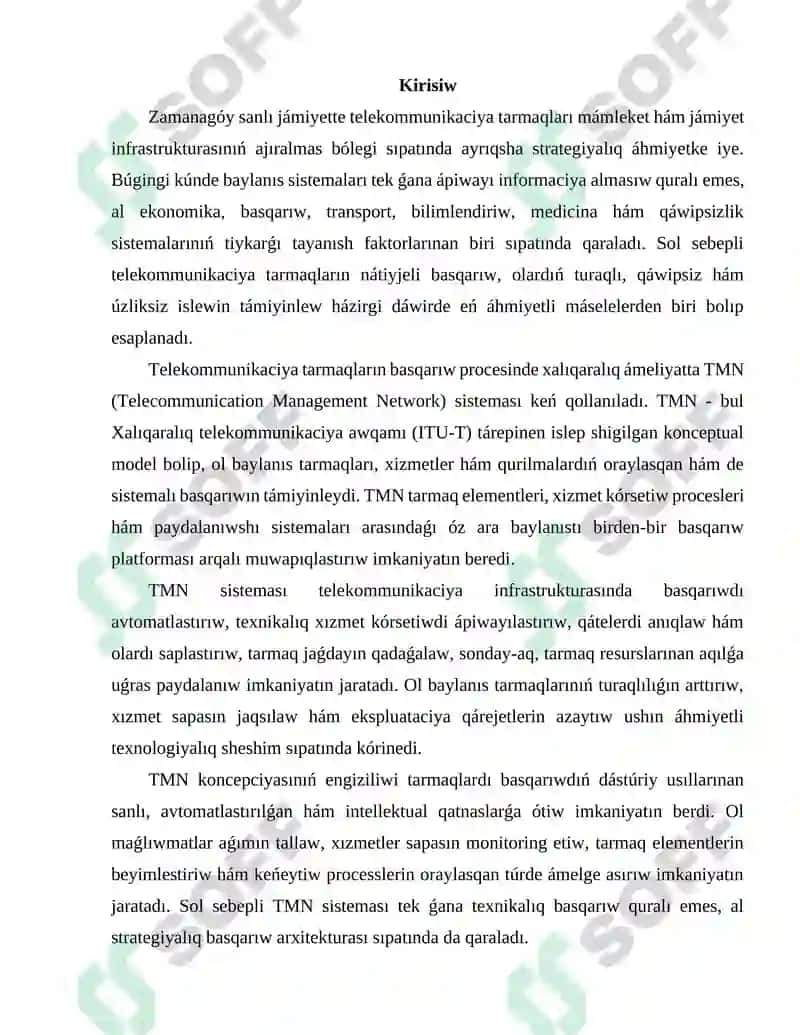 TMN (Telecommunication Management Network) sisteması 3