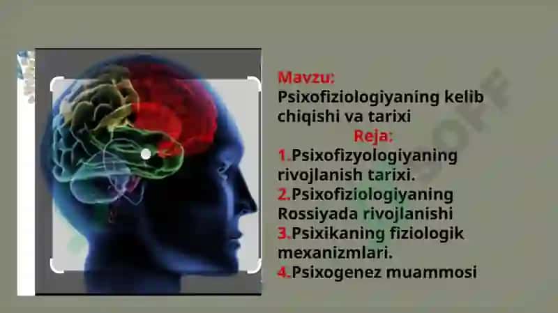 psixofiziologiya tarixi va kelib chiqishi 3