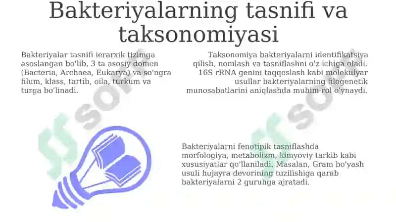 Bakteriyalarking klassifikatsiyasi 3
