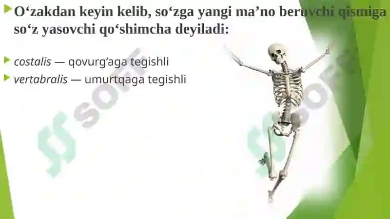 Medicus 3