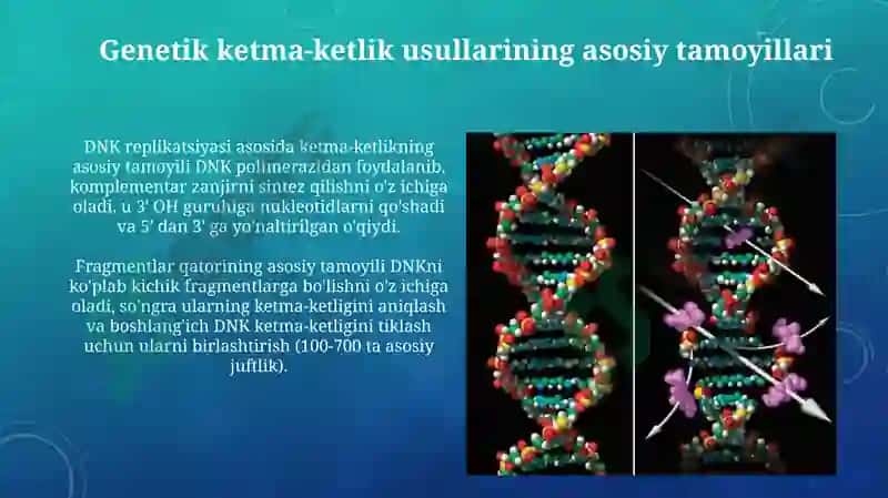 Genetik ketma-ketlik usullari 3