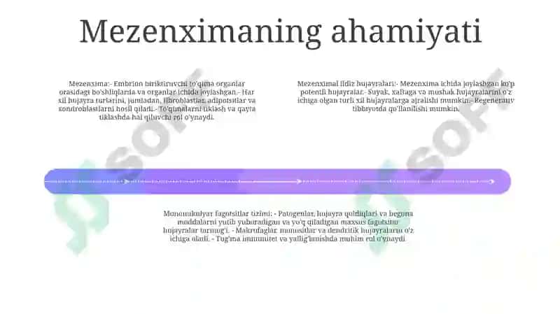 Mezenximaning Tuzilishi Va Ahamiyati 3