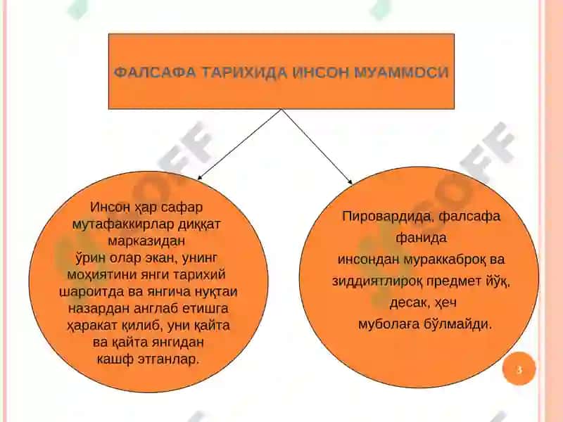 Фалсафий Антропология 3