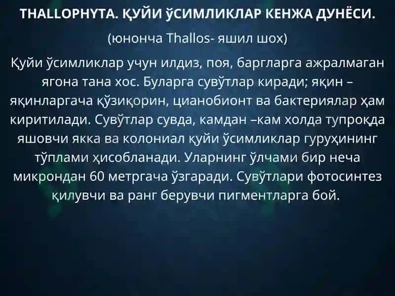 РНУТА ўСИМЛИКЛАР ДУНЁСИ 3