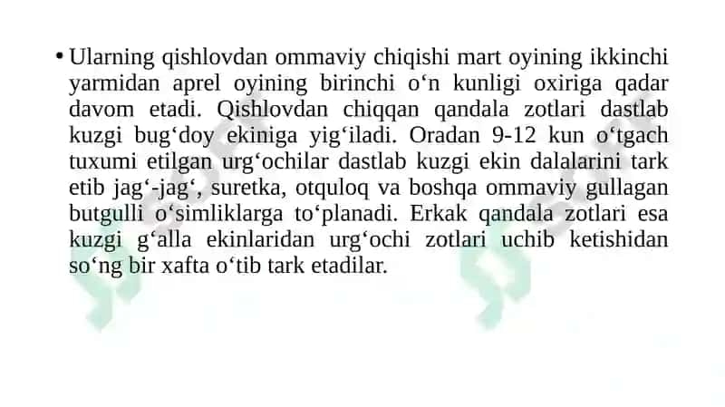 Qandalalar 3