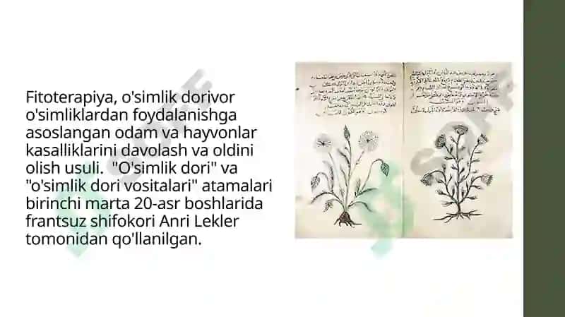 FITOPREPARATLAR VA ULARNING QO’LLANISHI 3