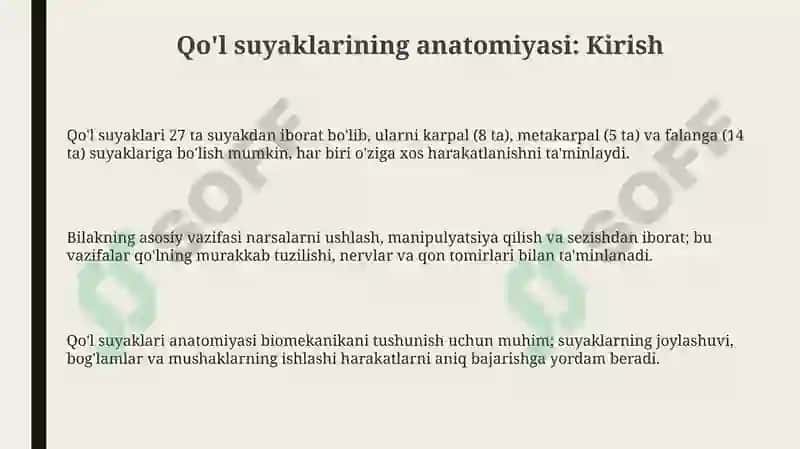 Anatomiya suyaklar qoʻl suyaklari 3