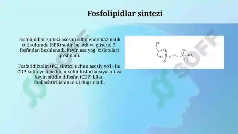 Fosfolipid va steroid metabolizmi 3