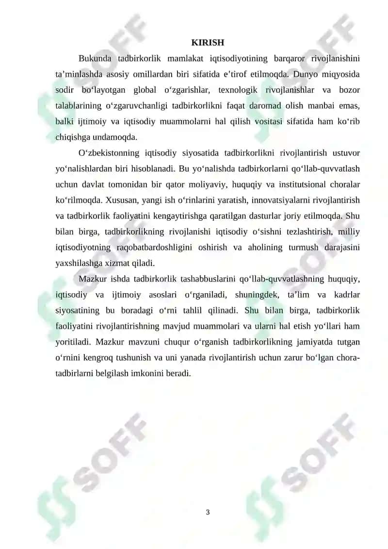 Tadbirkorlik tashabbuslarini qo‘llab-quvatlash 3