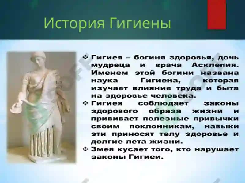История Гигиены 3