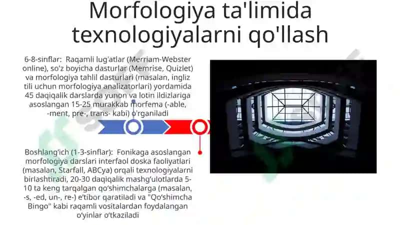Morfologiya Ta'limi Dars ishlanmalari 3