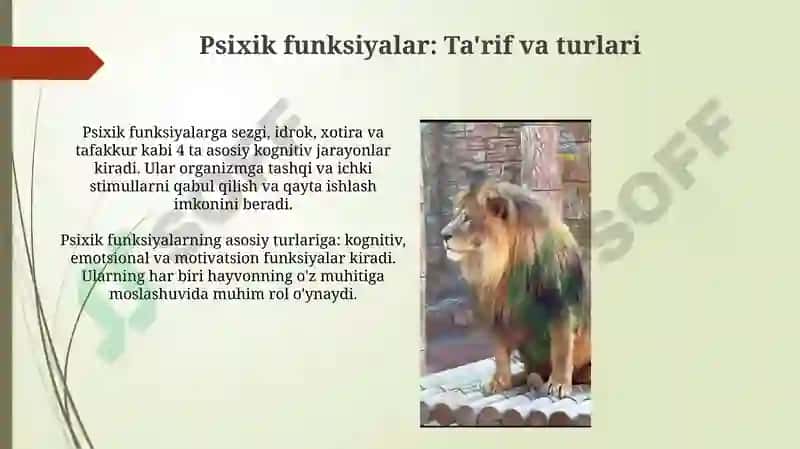 Psixik funksiyalar evolyutsiyasi 3