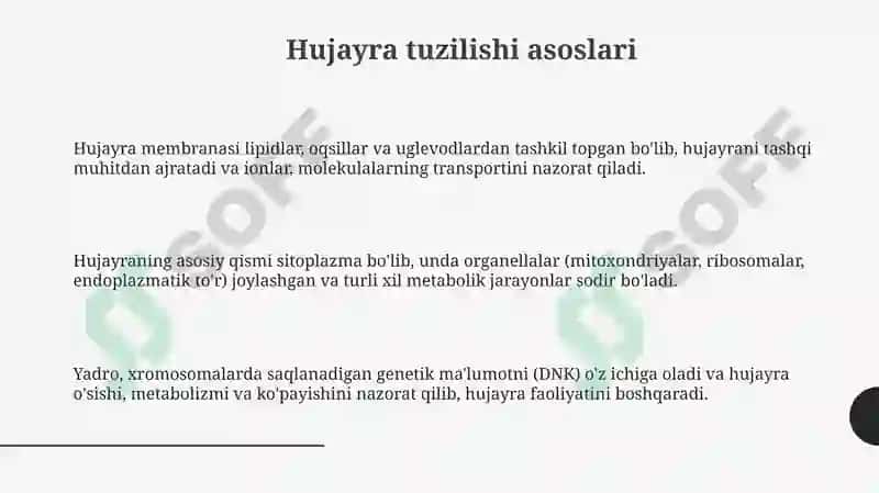 Hujayra tuzilishi 3