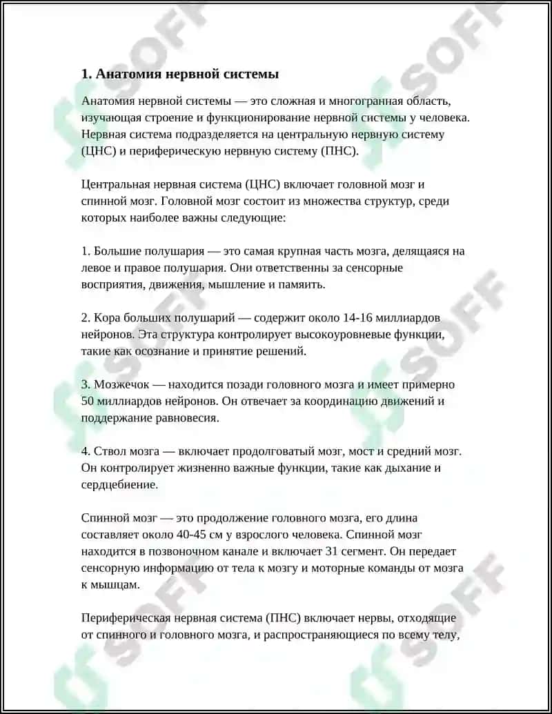 Анатомия нервной системы 3