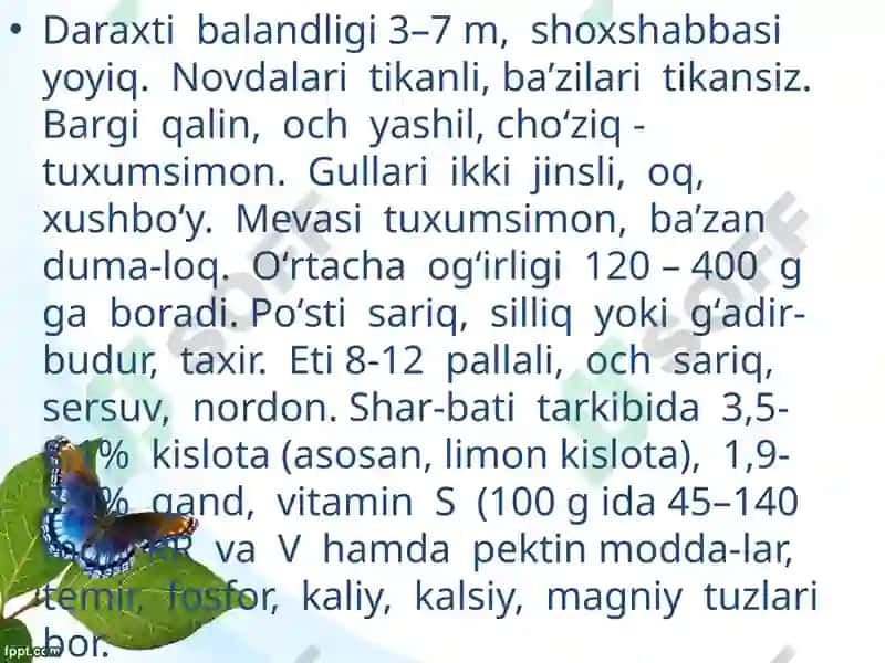 Mandarinning biologik xususiyatlari 3