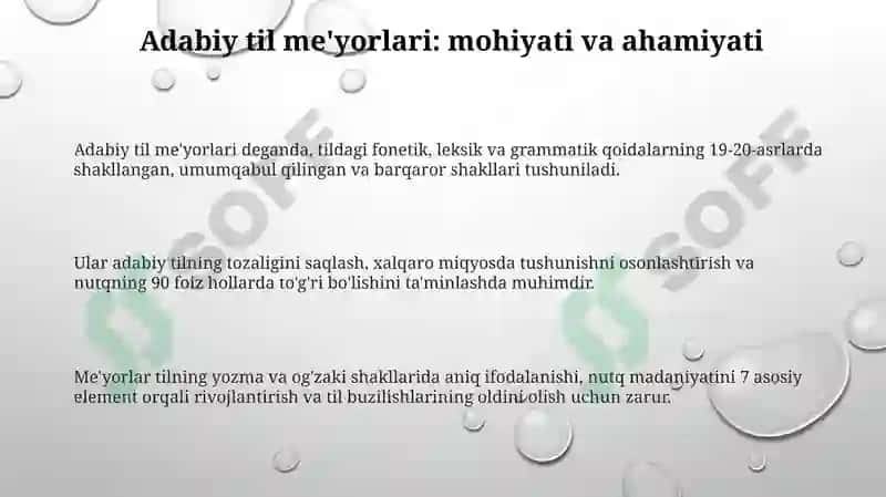 Adabiy til me'yorlari va nutq madaniyati 3