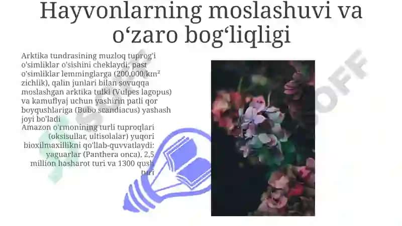 Materiklarning tabiat mintaqalari 3