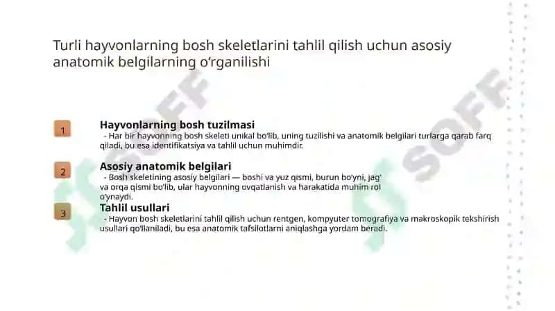 Turli hayvonlarning bosh skletidan prepatat tayorlash 3