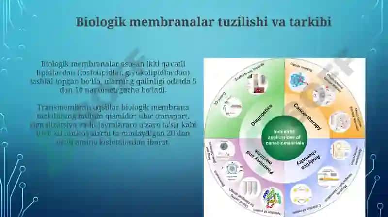 Biologik Membranalar 3