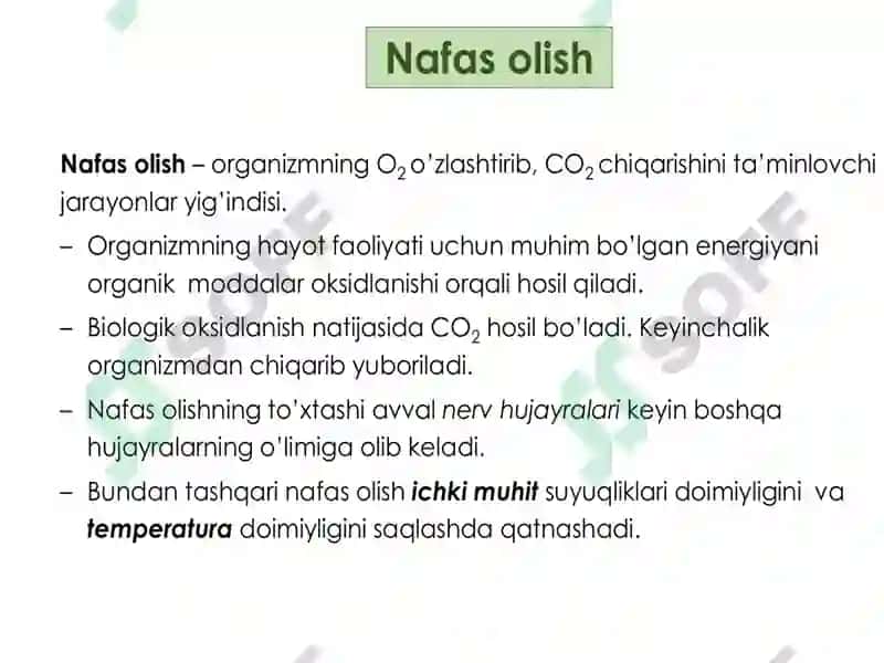 Nafas olish fiziologiyasi 3