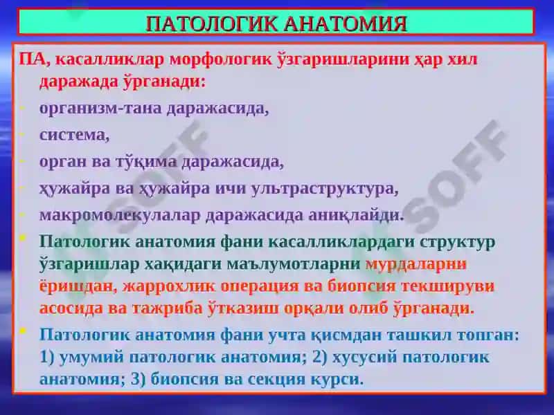 ПАТОЛОГИК АНАТОМИЯ 3