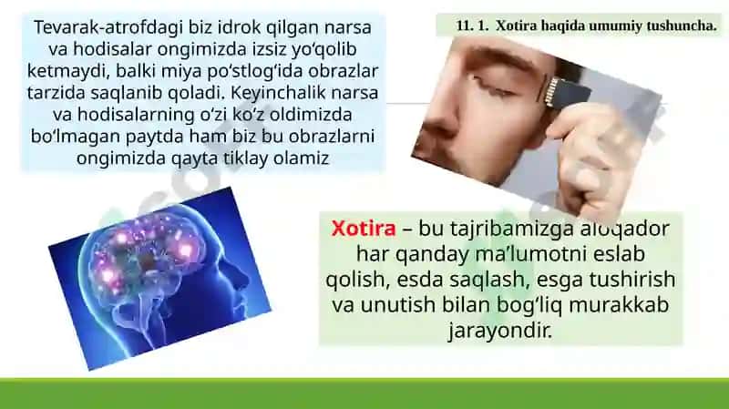Xotira 3
