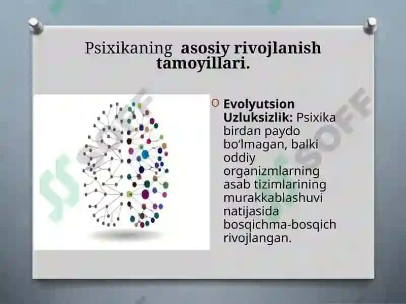 Prezentatsiya.Psixikaning filogenetik taraqqiyoti 3