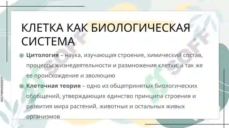 СТРОЕНИЕ КЛЕТКИ 3