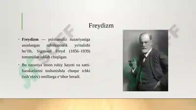 Freydizm va neofreydizm 3