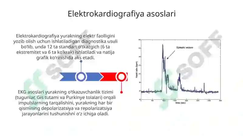 Elektrokardiografiya 3