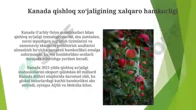 Kanada qishloq xo‘jaligi 3