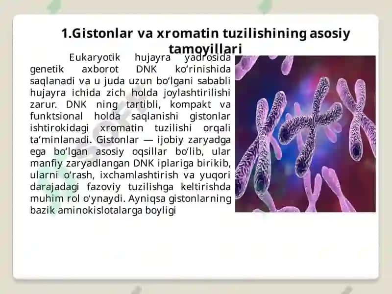 Gistonoqsillarining madifikatsiyalari 3