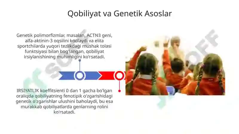 Qobiliyatvagenetika 3