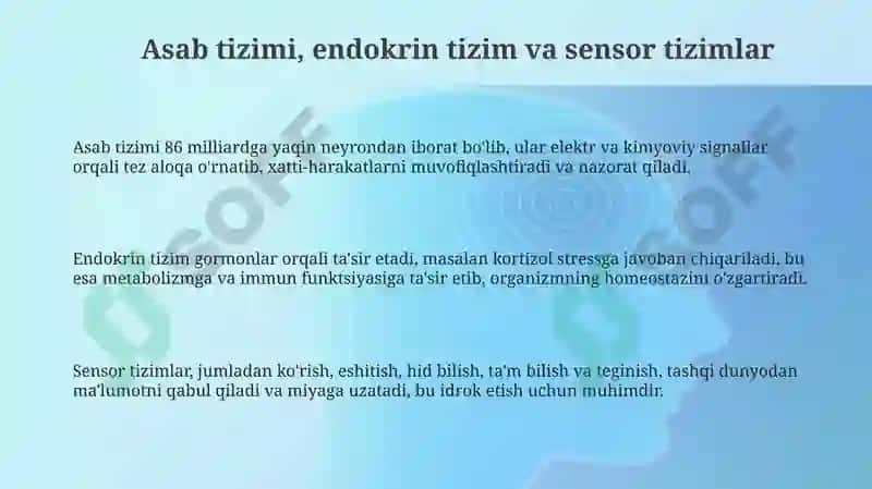 Xulq-atvorning psixofizalogik asoslari 3