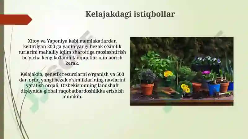 Manzarali o'simliklarning kelib chiqish markazlari 3