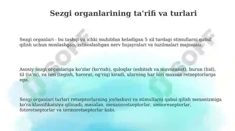 Sezgi organlarining ta'rifi va turlari 3
