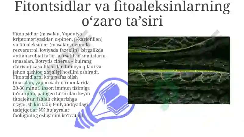 Fitonsidlar va fitoaliksidlar 3