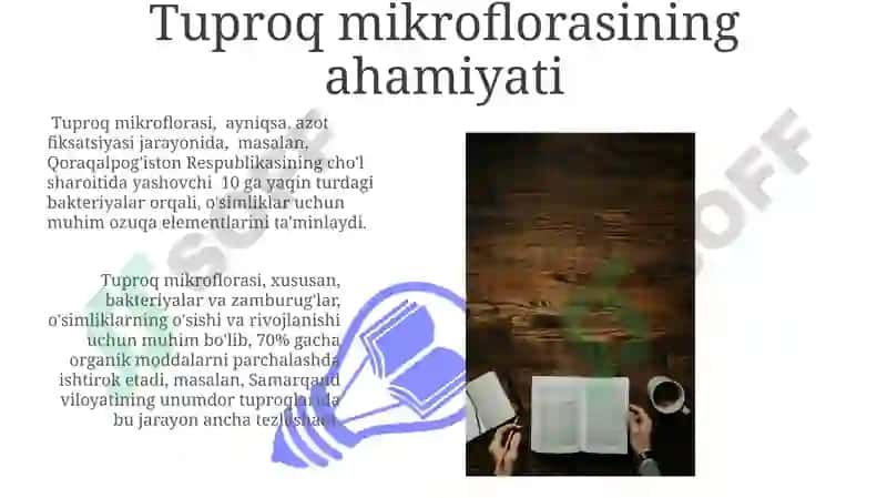 Tuproq mikroflorasini o'rganish 3
