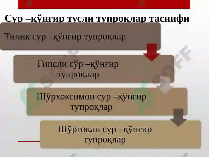 Гидроморфтупроқлар. Чўл зонаси тупроқлари 3