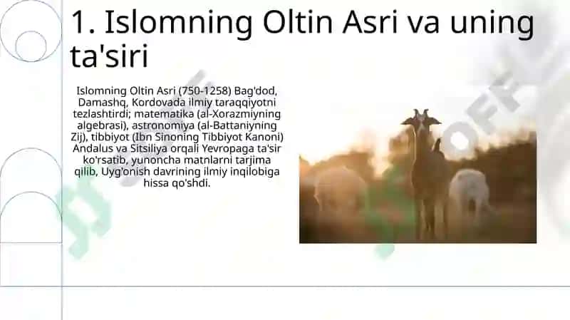 Islomning Oltin Asri va uning ta'siri 3