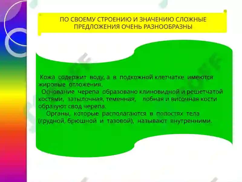 Сложное предложение 3