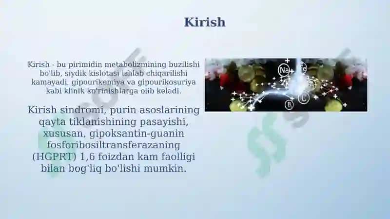Purin va pirimidin asoslari almashinuvi 3