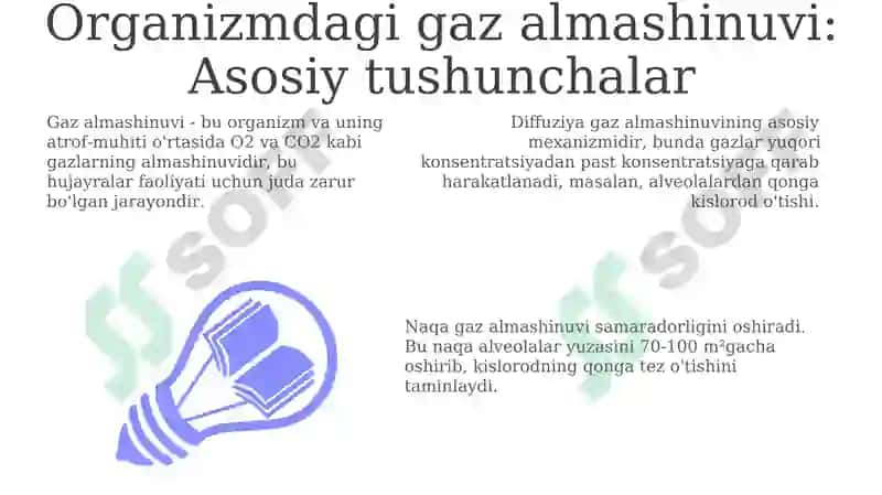 Organizmdagi gaz almashinuvi 3